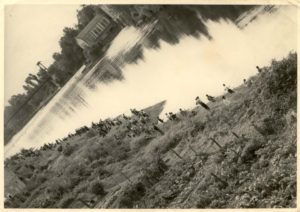 peche berges du tarn