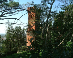 au milieu de la végétation la tour