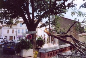 tornade aout tilleul